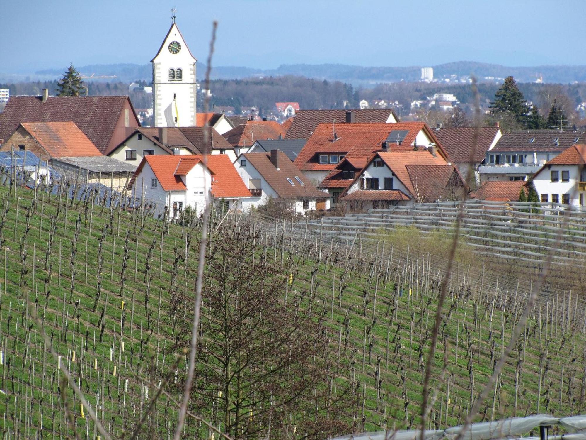 Obst- Ferienhof Ragg Immenstaad am Bodensee Kültér fotó