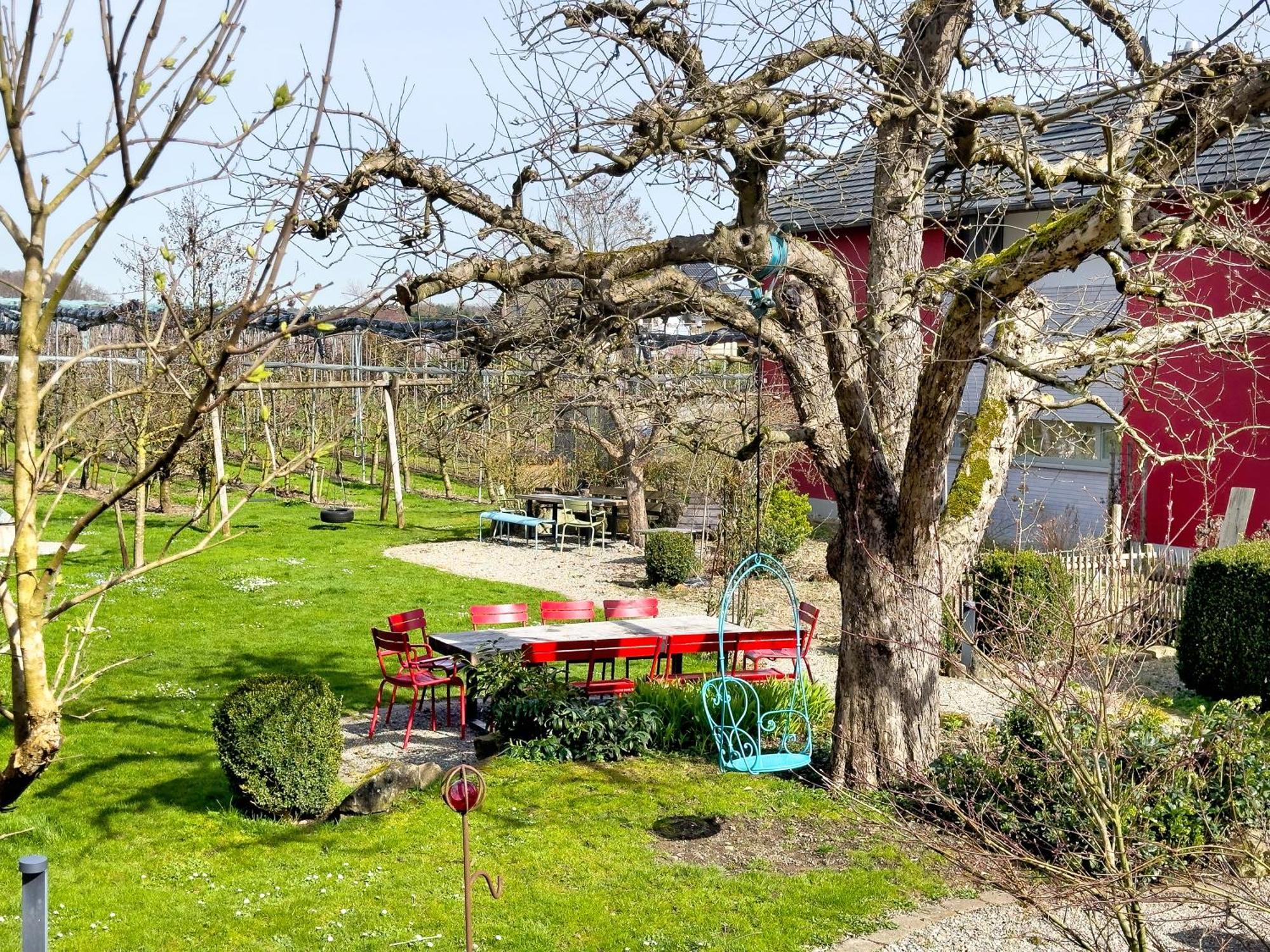 Obst- Ferienhof Ragg Immenstaad am Bodensee Kültér fotó