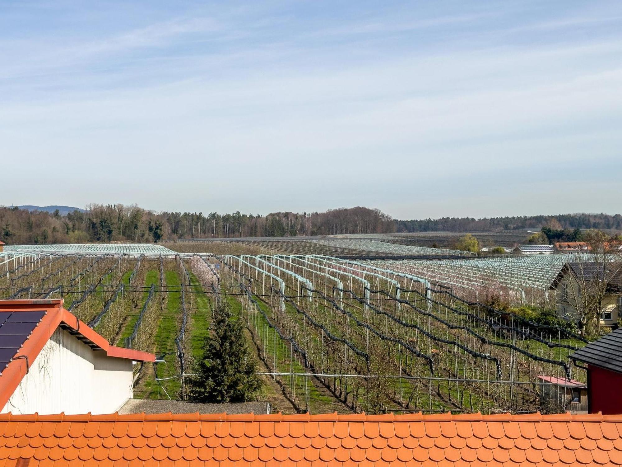 Obst- Ferienhof Ragg Immenstaad am Bodensee Kültér fotó